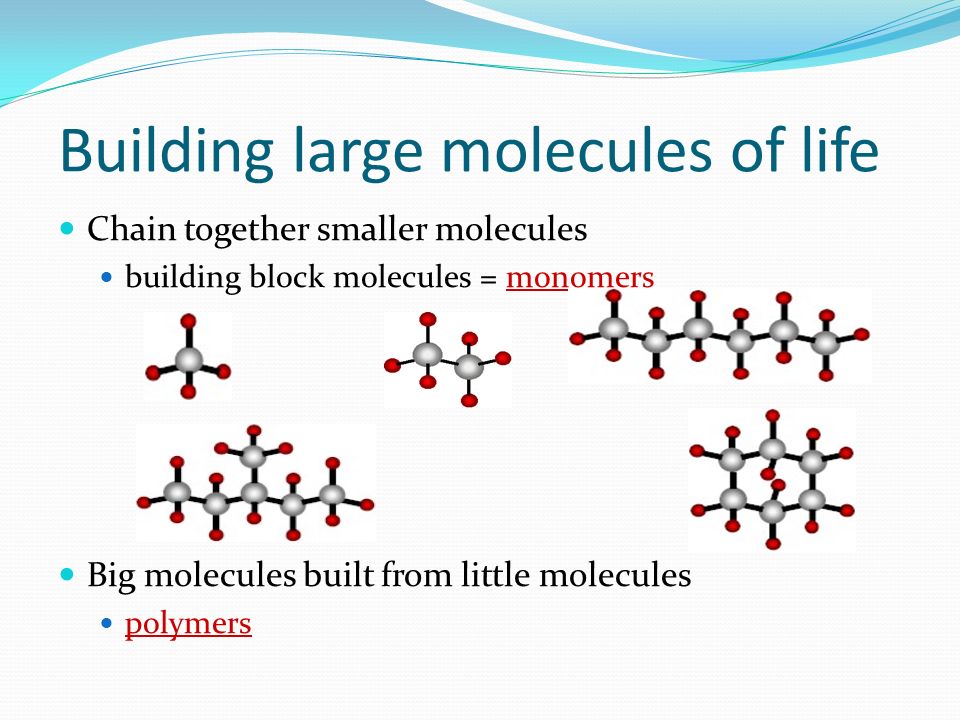 An analysis of large molecules composed of smaller molecules called monomers